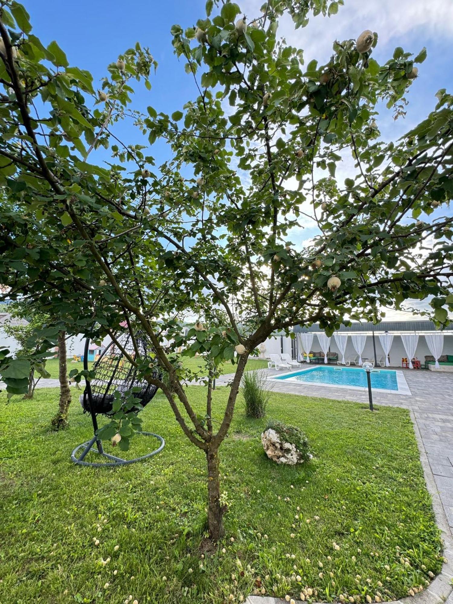 Family Estate Hadzalova Avlija Villa Bihać Eksteriør bilde